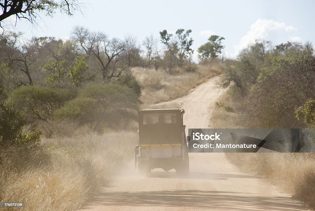 Игра Драйв (заповедник Safari - Стоковые фото Фотоохота на зверей из машины - наблюдение за дикой природой роялти-фри