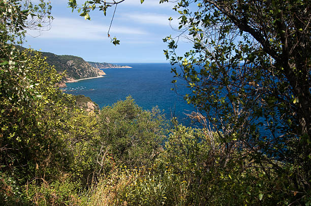 istock Beautiful landscape over water in spain 176072235
