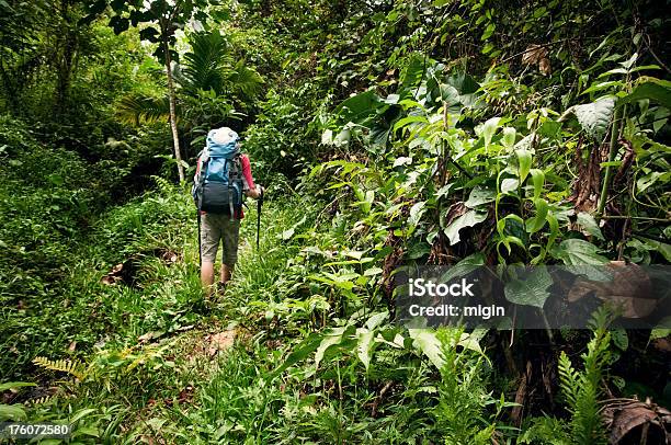 ジャングルでハイキングします - 14歳から15歳のストックフォトや画像を多数ご用意 - 14歳から15歳, 16歳から17歳, 1人