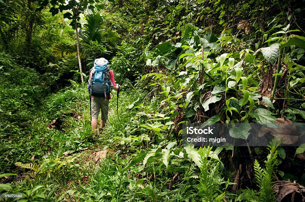 Caminhada na selva. - Royalty-free 14-15 Anos Foto de stock