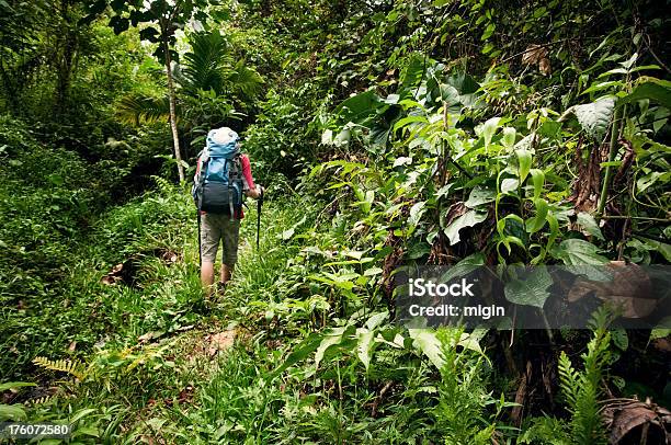 Caminhada Na Selva - Fotografias de stock e mais imagens de 14-15 Anos - 14-15 Anos, 16-17 Anos, Adolescência