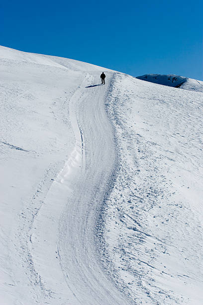 istock Lonely hiker in the alps 176072992