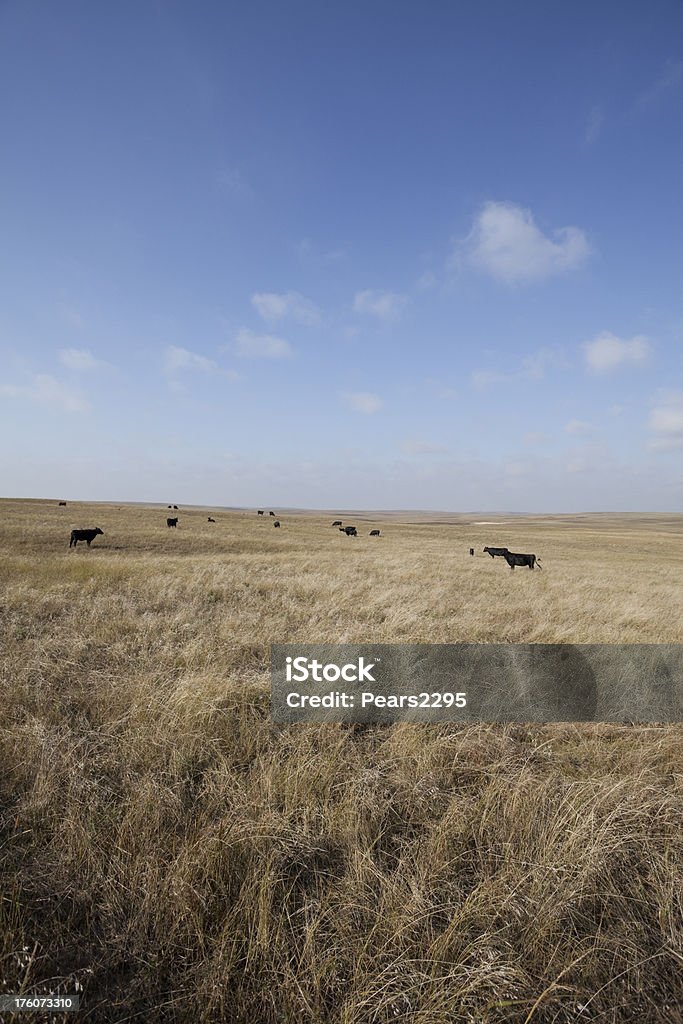 Prärie-Serie - Lizenzfrei Nebraska Stock-Foto