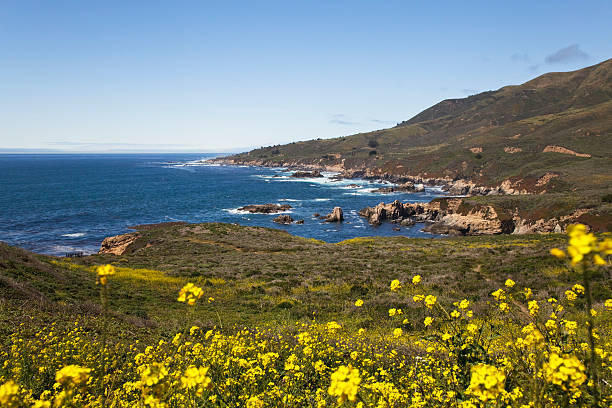 istock Soberanes Point, Big Sur, California 176073609