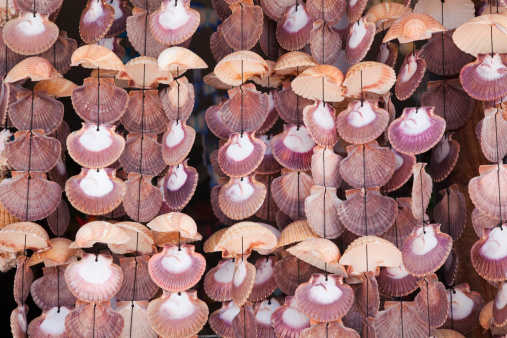 Various shells strung together to form wind chimes are for sale in an outdoor market.