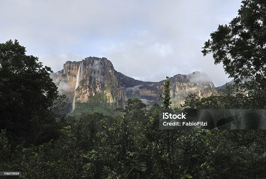 "salto ángel" - Foto de stock de Región del Amazonas libre de derechos