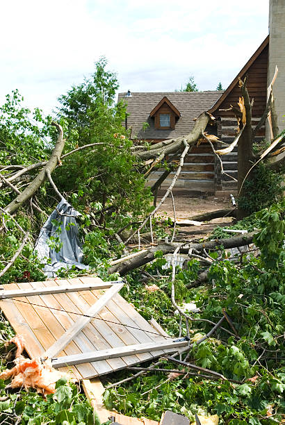 istock Tornado aftermath & destruction forces of nature - VI 176074187