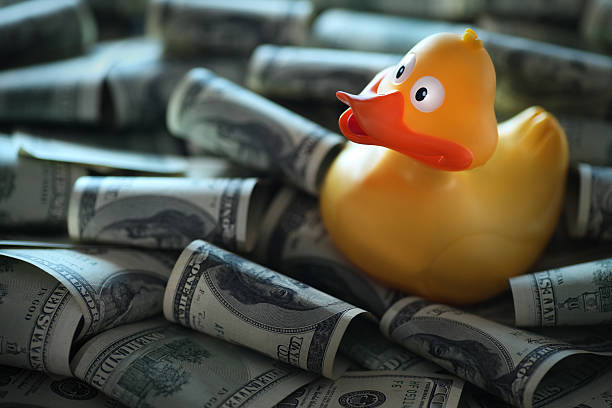 istock Yellow Duck In Dollars 176074220