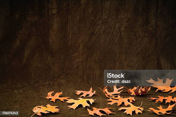 Autumn Theme Stock Photo - Download Image Now - Autumn, Backgrounds, Brown