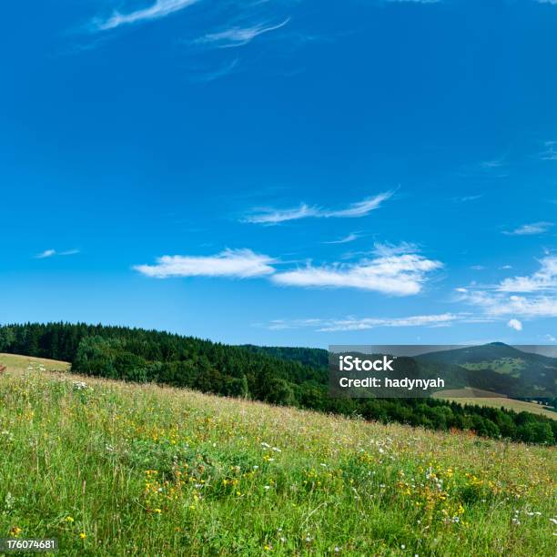 Plac 87mpix Xxxxl Wiosnę Krajobrazłąka Blue Sky - zdjęcia stockowe i więcej obrazów Kwiat - Roślina - Kwiat - Roślina, Bez ludzi, Bezchmurne niebo