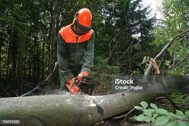 Photo libre de droit de Sylviculteur banque d'images et plus d'images libres de droit de Bois - Bois, En bois, Scier