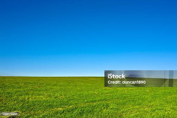 녹색 필드 및 투명한 푸른 하늘 풍경 0명에 대한 스톡 사진 및 기타 이미지 - 0명, 경관, 녹색