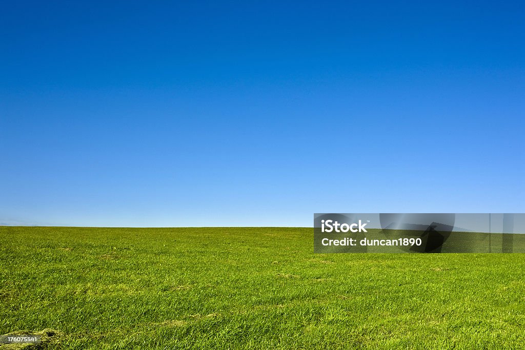 Campo Verde e céu azul panorama claro - Royalty-free Agricultura Foto de stock
