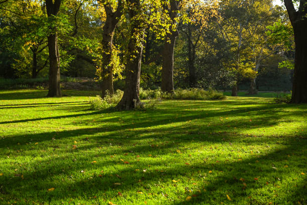 istock Central Park, New York City. 1760755911