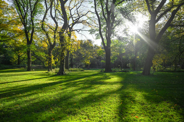 istock Central Park, New York City. 1760755913