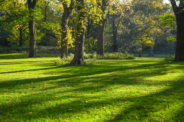 istock Central Park, New York City. 1760755914