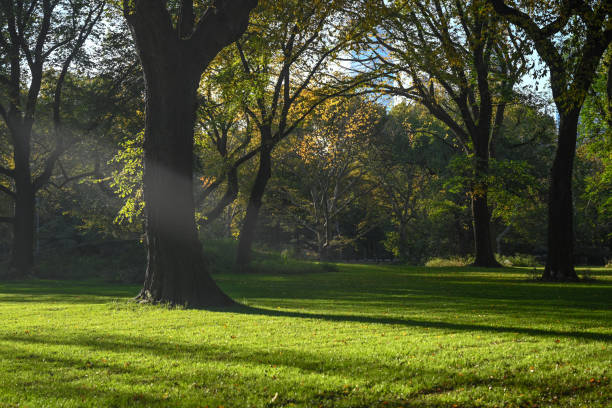 istock Central Park, New York City. 1760756047