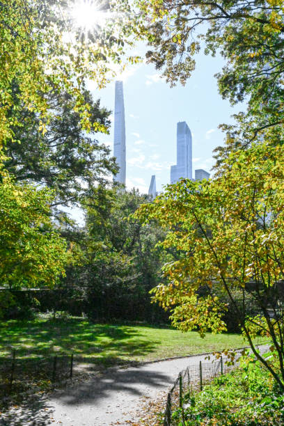 istock Central Park, New York City. 1760759715