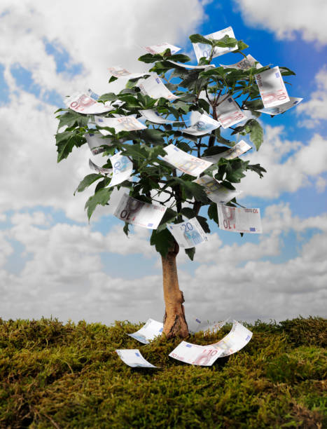 istock Euros on a money tree, in the office. 176076162