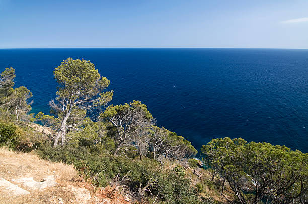 istock Beautiful landscape over water in spain 176076453