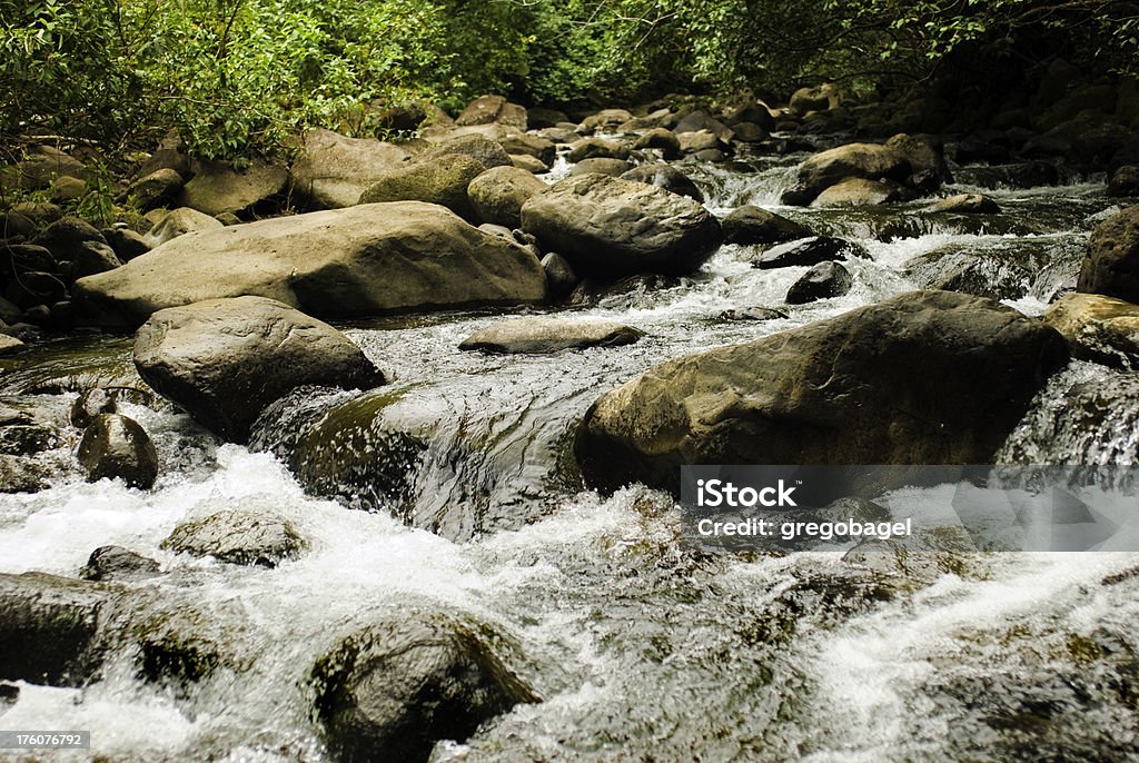 Close-up de fluindo rio e pedras - Foto de stock de Bosque - Floresta royalty-free