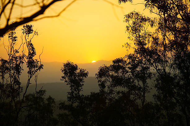 Australian glowing orange sunset over the mountains, framed by the australian bush. Shot in Queensland.