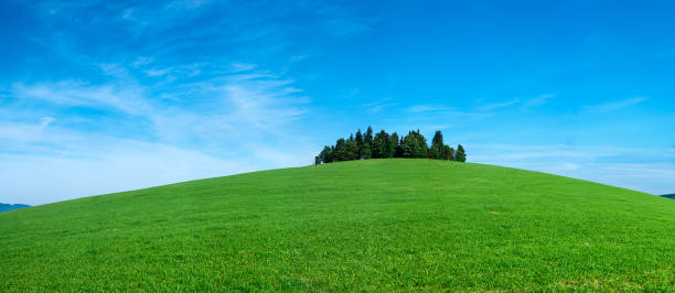 istock Panoramic spring landscape 77MPix XXXXL size - meadow, blue sky 176077363
