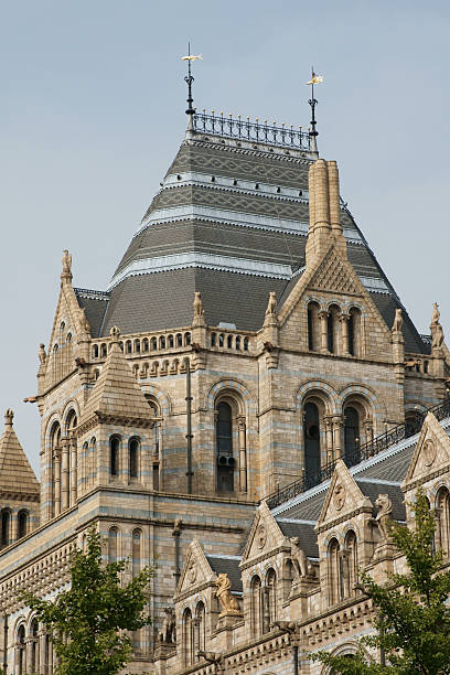 istock Natural History Museum, London, England 176077413