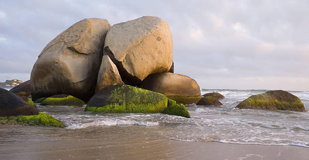 istock Natural sculpture on Caribbean  beach 176077944