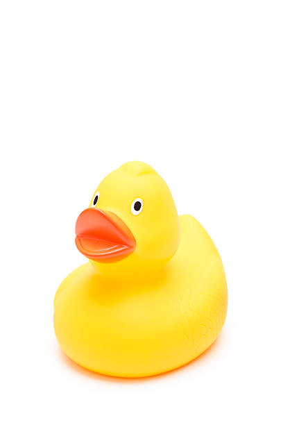 istock Rubber duck XXXL 176078061