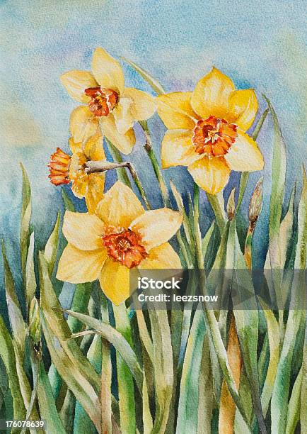 Aquarelle De Jonquilles De Letat Vecteurs libres de droits et plus d'images vectorielles de Jonquille - Jonquille, Aquarelle, Art pictural