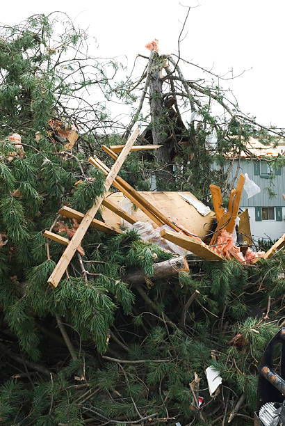 istock Tornado aftermath & destruction forces of nature - XIII 176078731