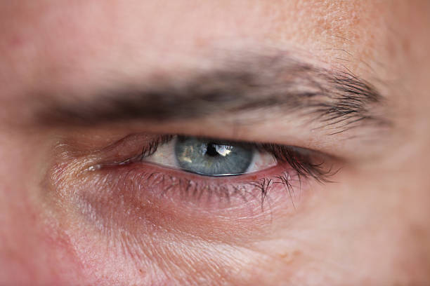 istock eye close-up XXXL 176079462