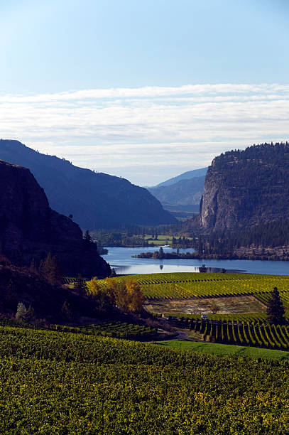 istock okanagan valley vineyards  penticton british columbia 176079539