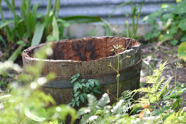 empty wooden barrel in the garden