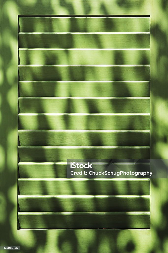 Obturador decoración de la ventana de la hoja de sombra - Foto de stock de Abstracto libre de derechos