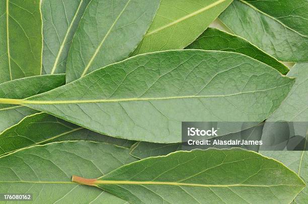 Fundo De Louro - Fotografias de stock e mais imagens de Comida - Comida, Comida e Bebida, Cor verde