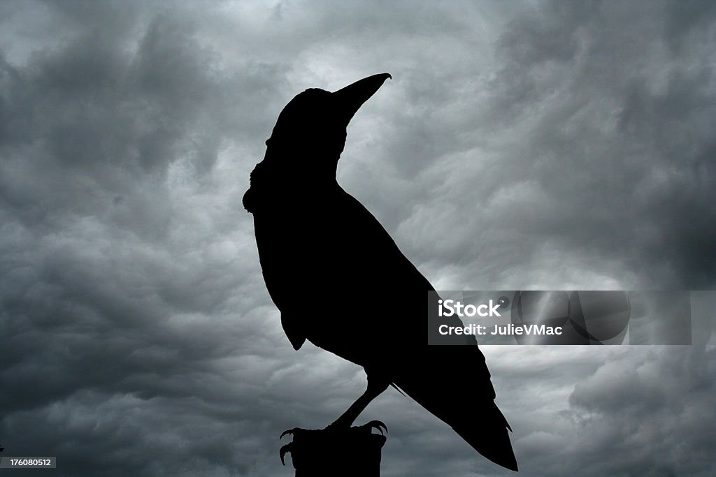 Die Raven (England - Lizenzfrei Kolkrabe Stock-Foto