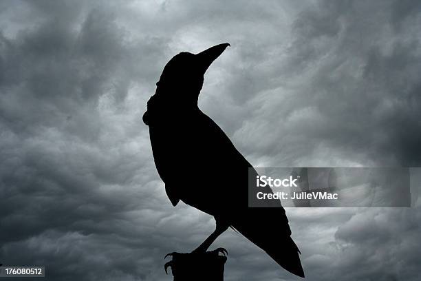 Die Raven England Stockfoto und mehr Bilder von Kolkrabe - Kolkrabe, Krähe, Unheilschwanger