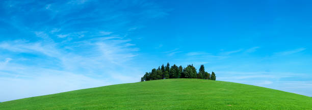 istock Panoramic spring landscape 135MPix XXXXL size - highlands, blue sky 176080546
