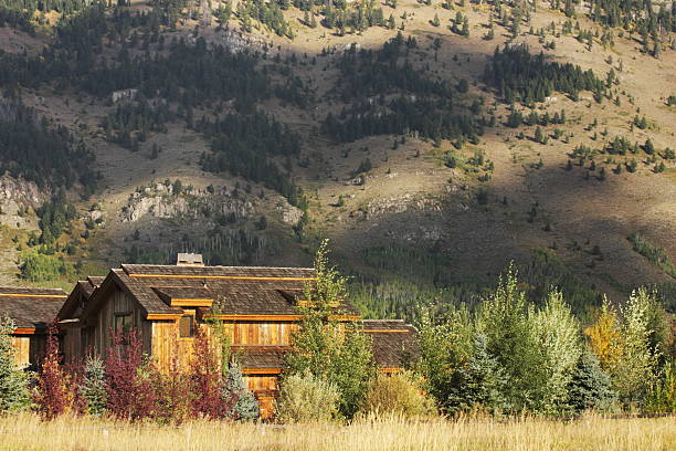 Cabin Home Architecture Wilderness Landscape