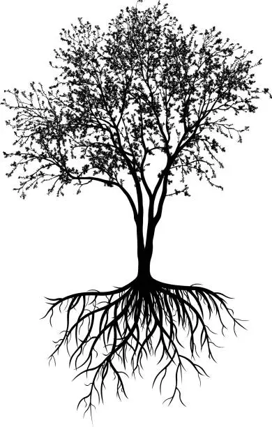 Vector illustration of Incredibly Detailed Tree With Roots Silhouette