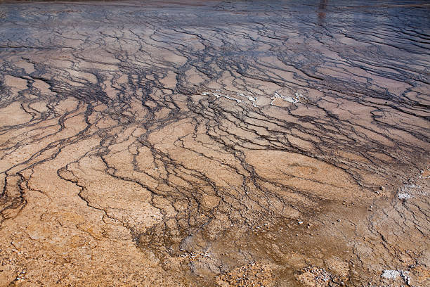 istock Yellowstone Park Mineral Deposit Textures 176080995