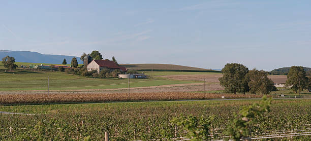 istock Swiss Farmhouse and Barn in Vaud Panorama 176081234