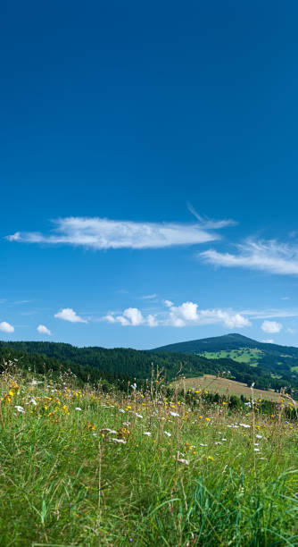 istock Panoramic spring landscape 51MPix XXXXL size - meadow, sky 176081280