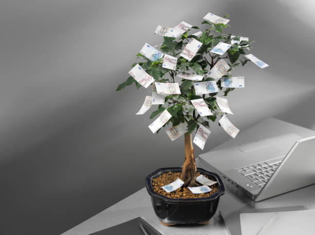 istock Euros on a money tree, in the office. 176081402