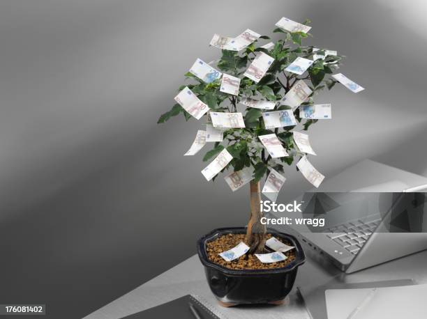 Euros Em Uma Árvore De Dinheiro No Escritório - Fotografias de stock e mais imagens de Atividade bancária - Atividade bancária, Bonsai, Bringing Home The Bacon (expressão inglesa)