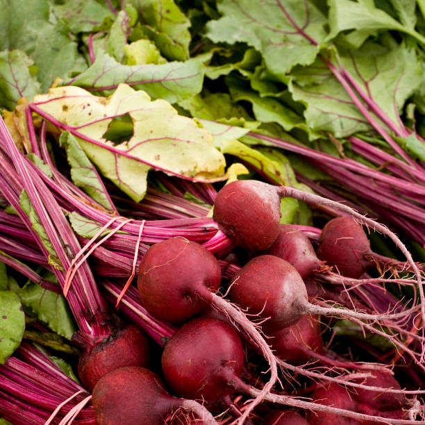 beet roots