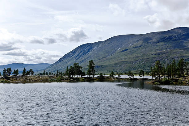 istock Summer in the Norwegian mountains. 176081620