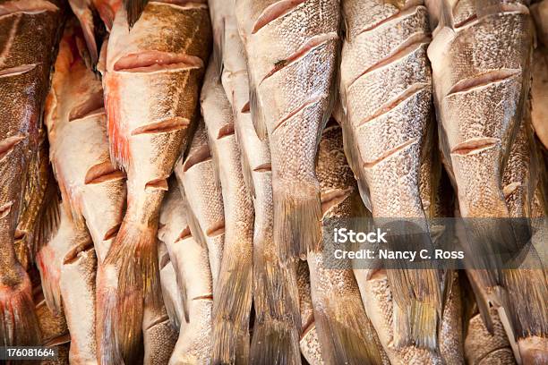 Peixe Fresco Apanhados No Mercado Ao Ar Livre Fundo De Alimentos - Fotografias de stock e mais imagens de Alimentação Saudável